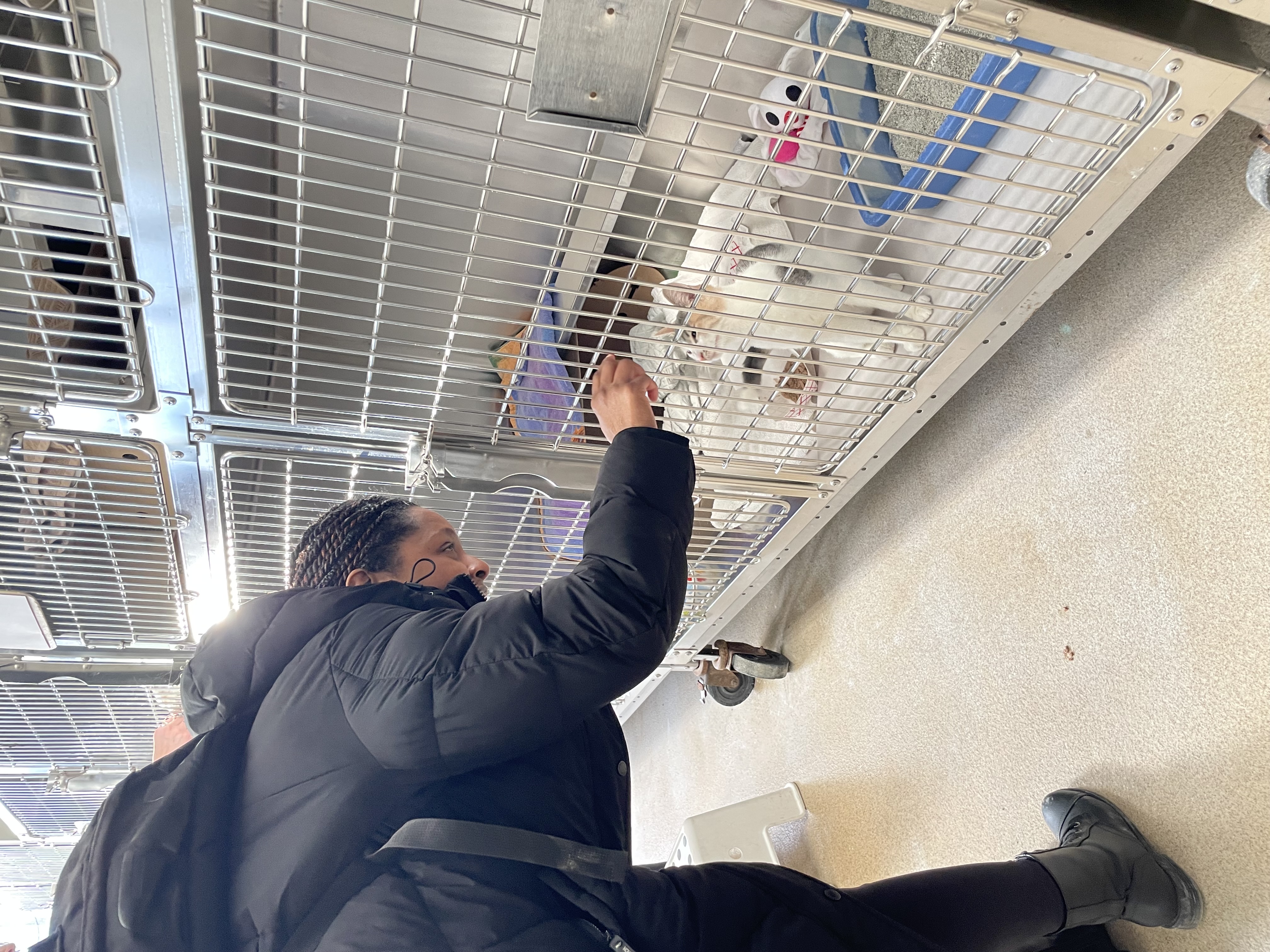 A site image set by the CMS