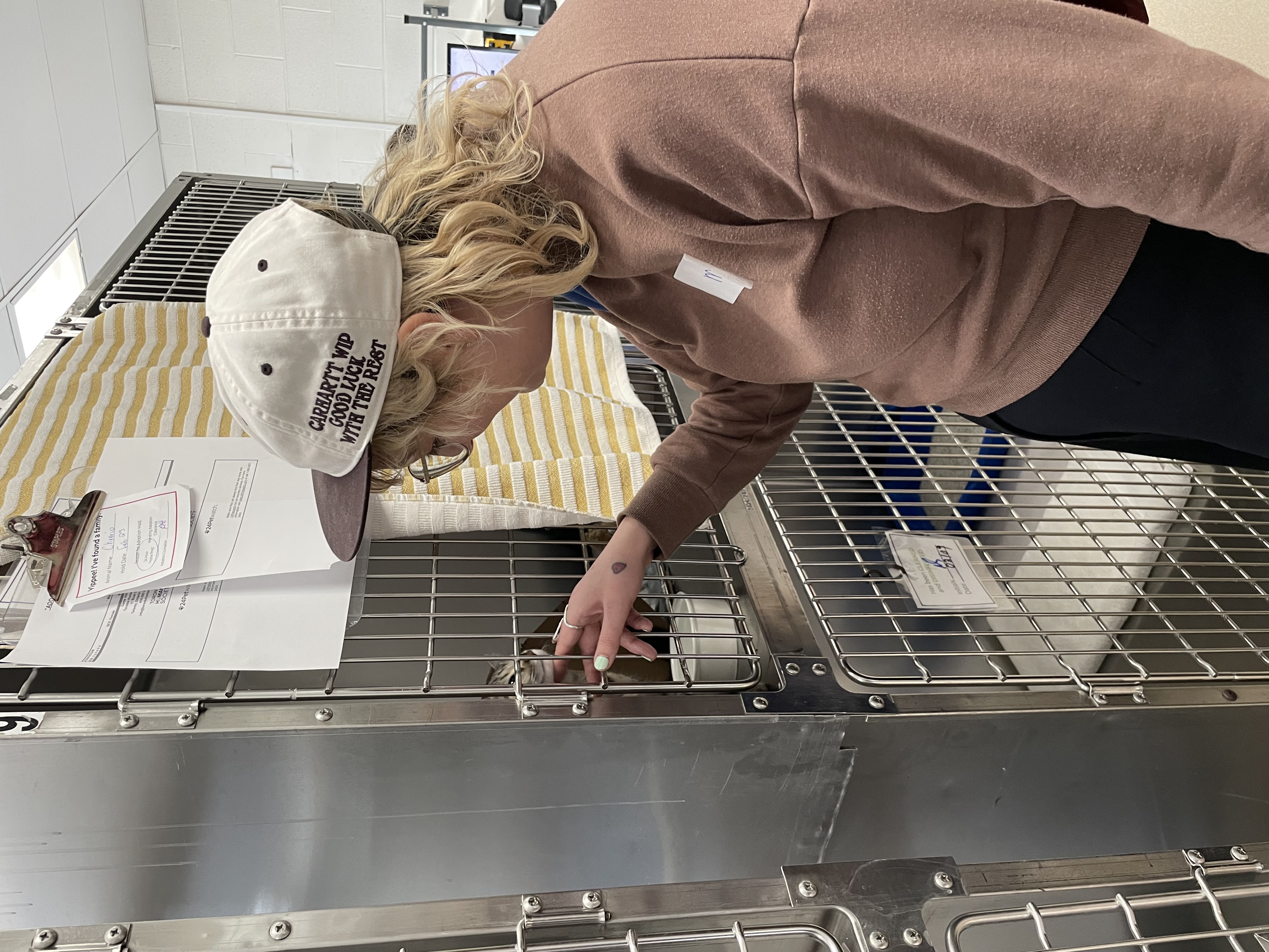 A site image set by the CMS