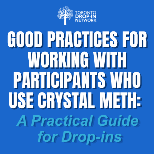 Toronto Drop-In Network - Publications